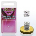 Faux Piercing Labret Acier Cistal