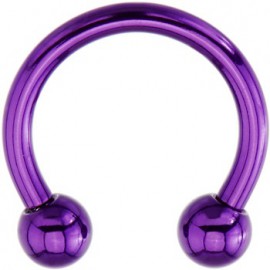 Tragus Anneau Fer à Cheval Boule Violette Titane G23