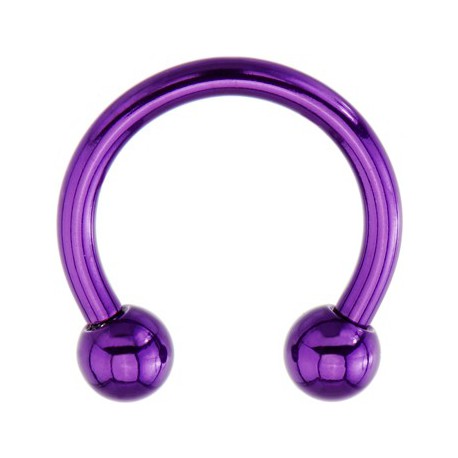 Tragus Anneau Fer à Cheval Boule Violette Titane G23