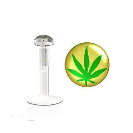 Labret bioflex motif feuille verte