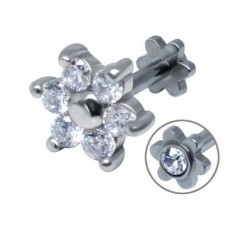 Tragus acier petite fleur