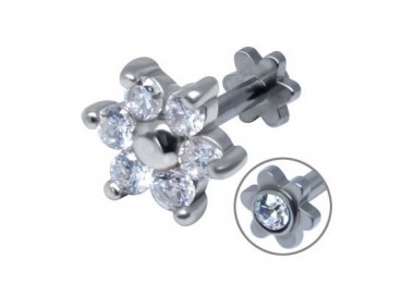 Tragus acier petite fleur